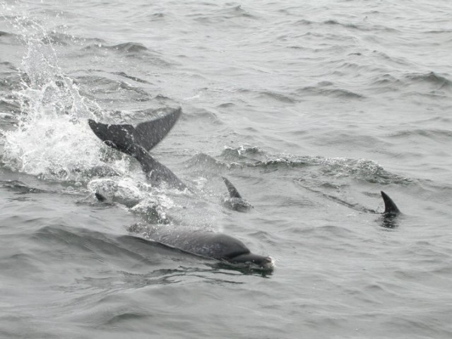 New Marine Protected Area in Costa Rica