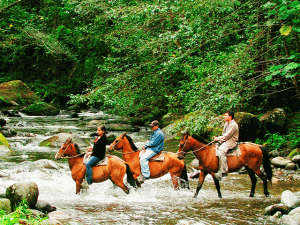 National Day of the Biosphere Reserves is declared in Costa Rica