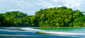 Seven Things to Know When You Are Going to Manuel Antonio