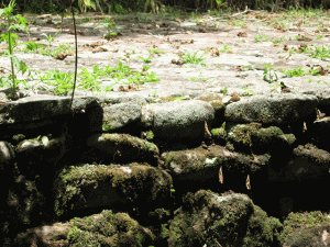 Archaeological Sites Worth Visiting in Costa Rica