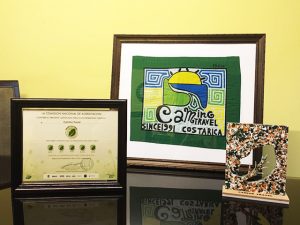 CST and the five leaves, Why is it important?