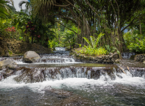 Hot Springs 101: What You Need to Know About Visiting Hot Springs in Costa Rica
