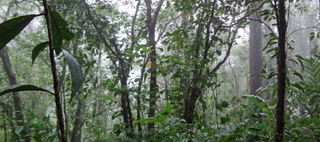 Costa Rica in May