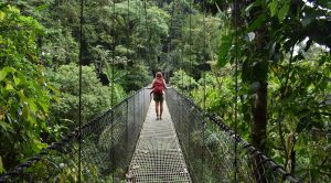 The “Costa Rica Bucket List” Experience