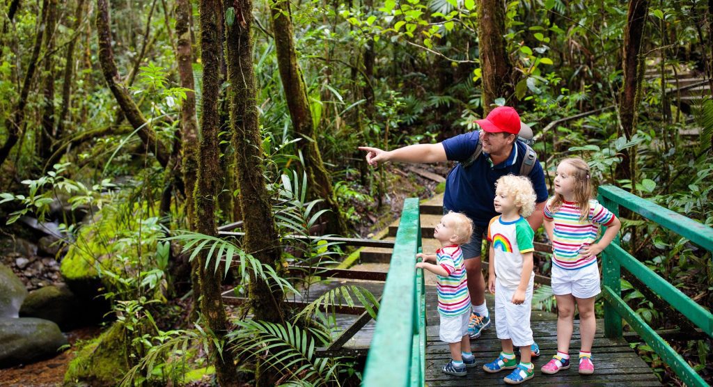 The “Swiss Family Robinson” Experience