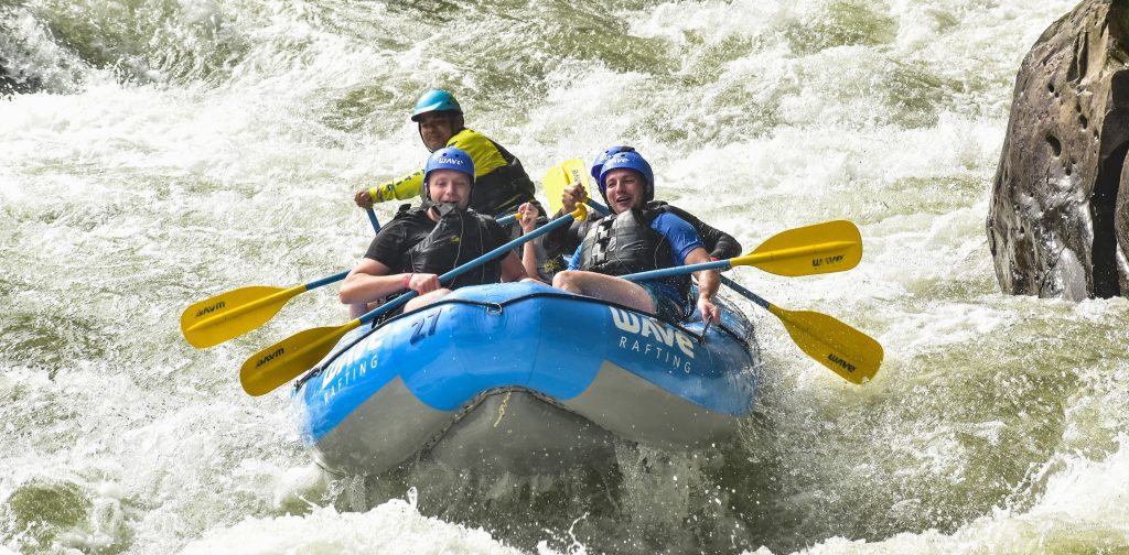 The “Where the Wild Things Are” Experience