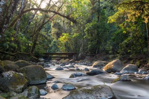 Savegre Valley & Los Santos