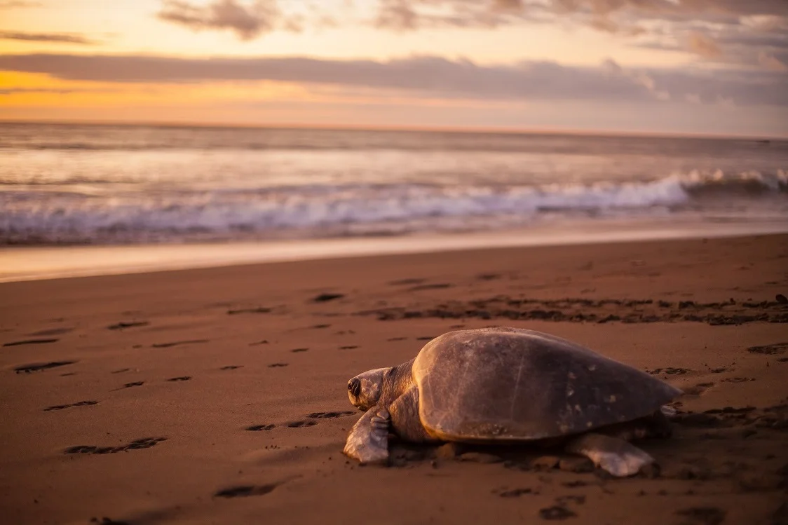 Adventure with Purpose