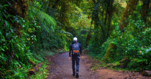 monteverde